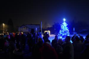 Vánoční strom v Žabni