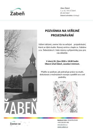 Veřejné projednávání